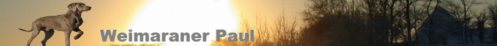Über Paul und mich - weimaraner-paul.de
